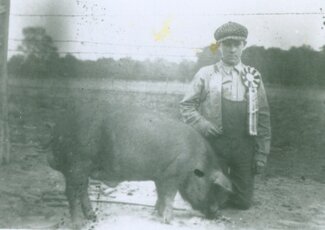 Ralph Gibbs with his Duroc pig