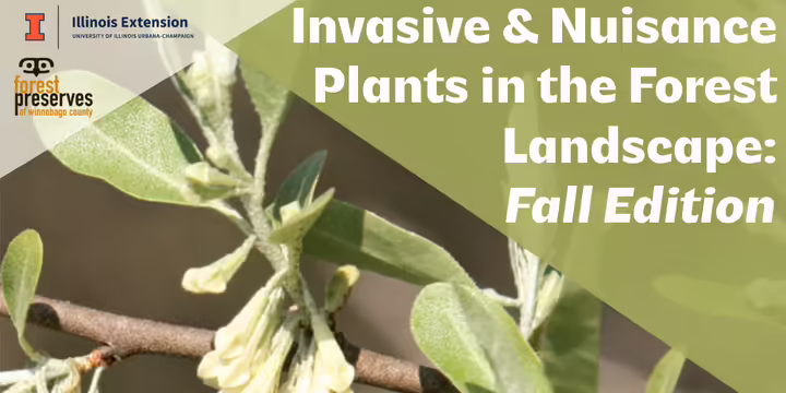 invasive plant with text