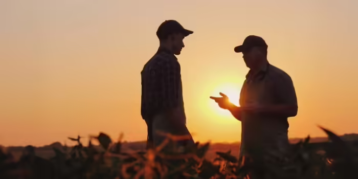 silhouette of two men standing in a bean field talking with the setting sun behind them
